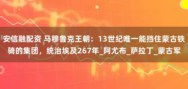安信融配资 马穆鲁克王朝：13世纪唯一能挡住蒙古铁骑的集团，统治埃及267年_阿尤布_萨拉丁_蒙古军