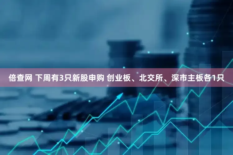 倍查网 下周有3只新股申购 创业板、北交所、深市主板各1只