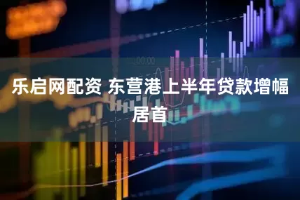 乐启网配资 东营港上半年贷款增幅居首