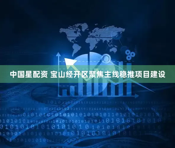 中国星配资 宝山经开区聚焦主线稳推项目建设