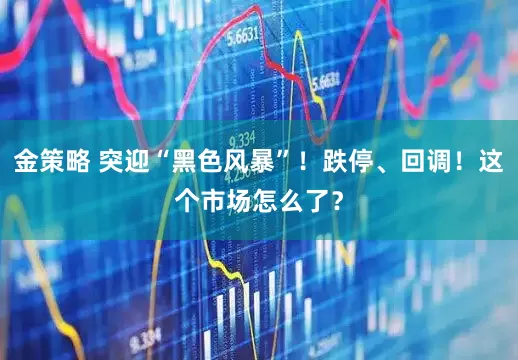 金策略 突迎“黑色风暴”！跌停、回调！这个市场怎么了？